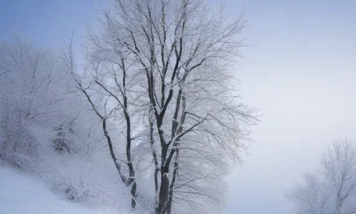 Háječek – winter