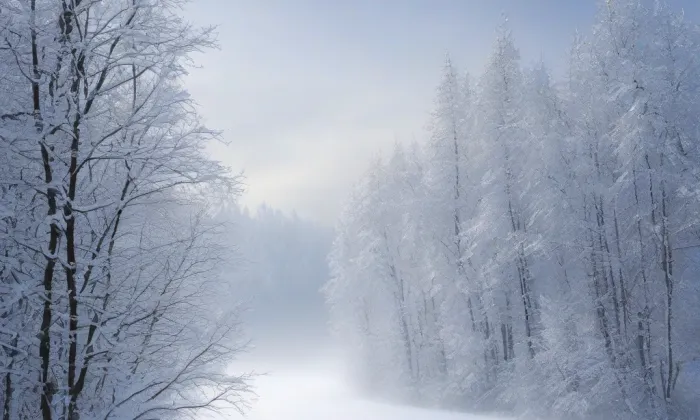 Hanspaulka – winter