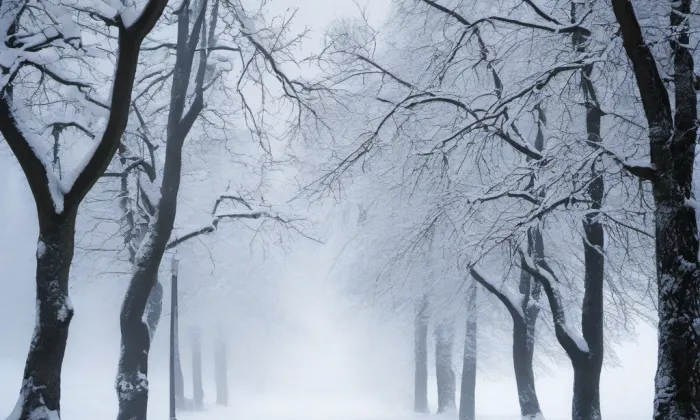 Hengst – winter