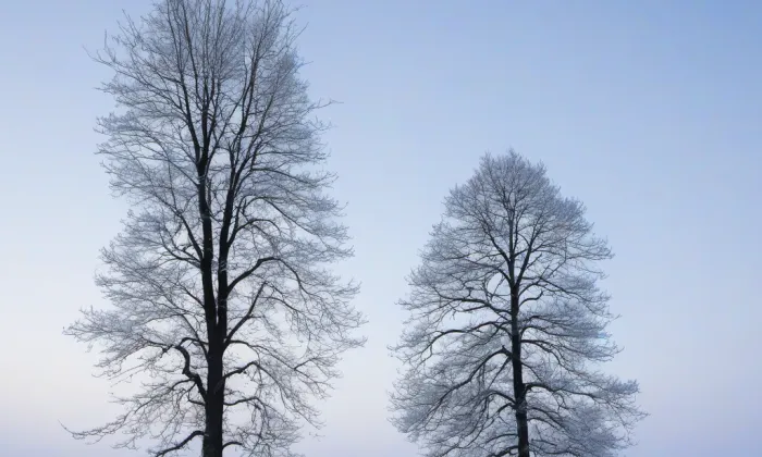 Heulos – winter