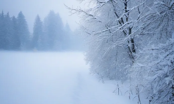 Hrádníky – winter