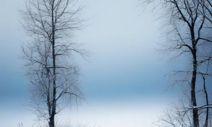 Hrad na Zámeckém vrchu – winter