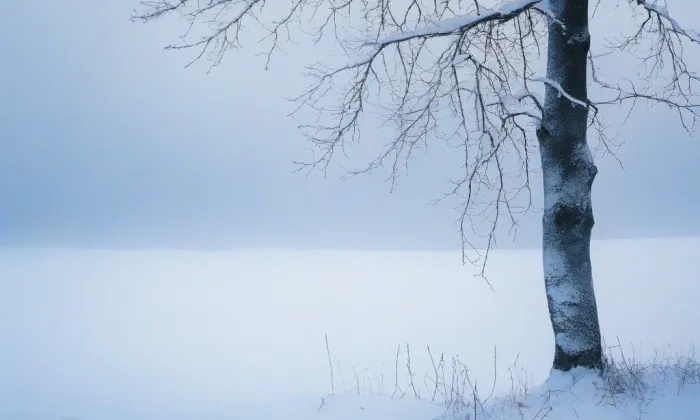 Hrad Přibyslav – winter