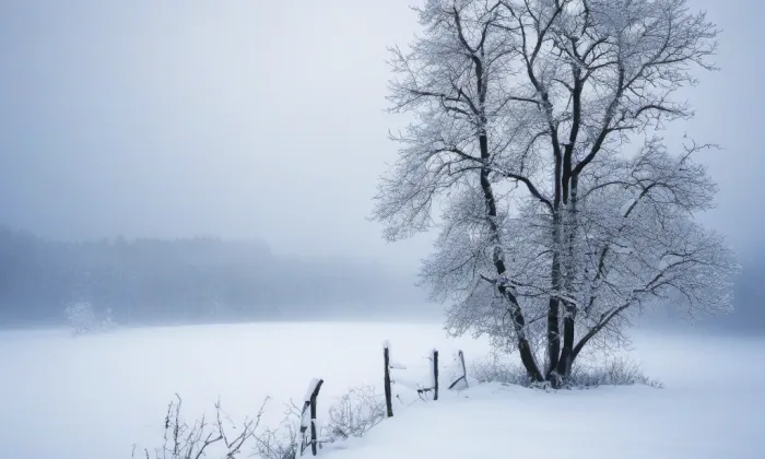Hradišťko – winter
