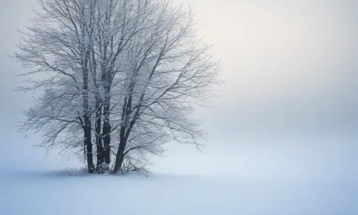 Hradská brána – winter