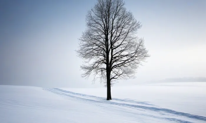 Hukovice (Velká Kraš) – winter