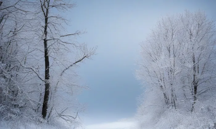 Humprecht – winter