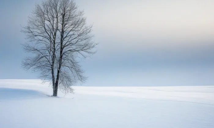Husův sbor na Smíchově – winter