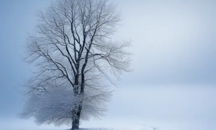 Husův sbor v Havlíčkově Brodě – winter