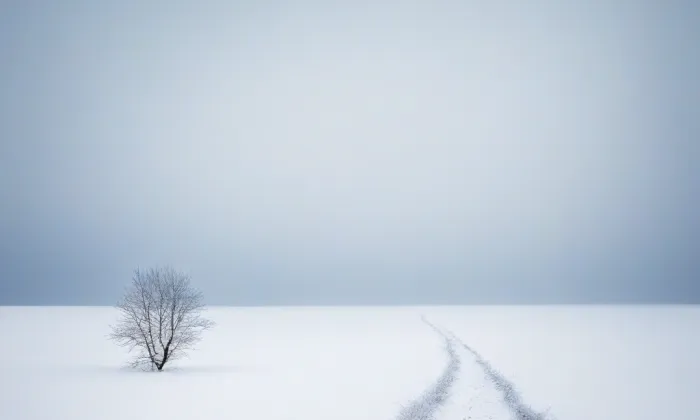 Husův sbor v Olomouci-Hodolanech – winter