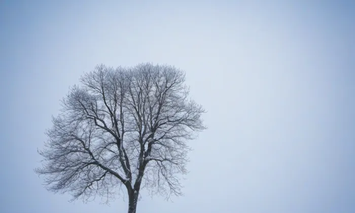 Jelení příkop – winter