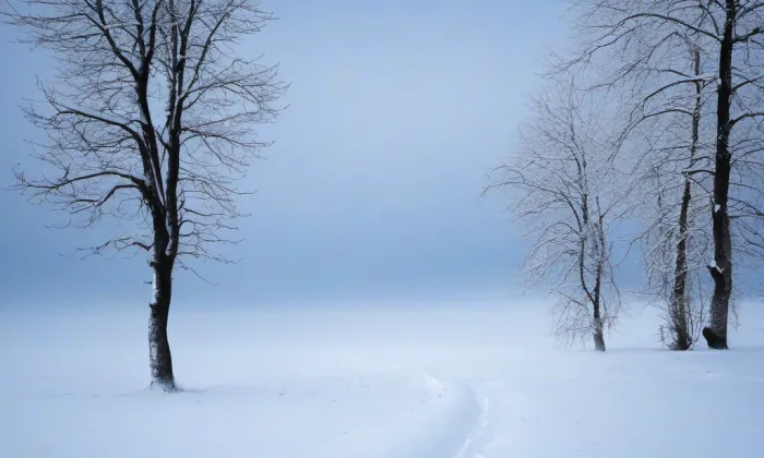Jezeřské arboretum – winter
