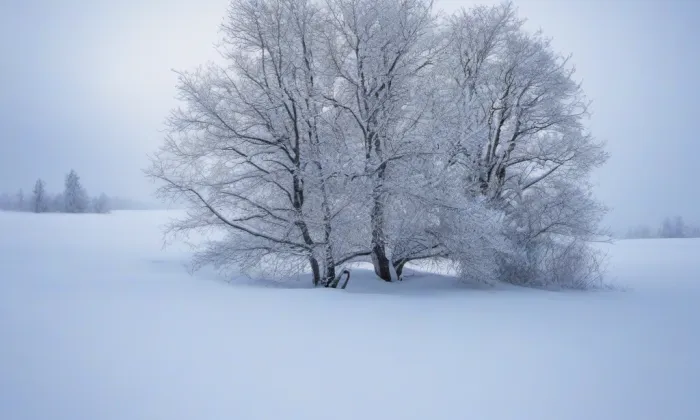 Jezuitská rezidence v Liběšicích – winter