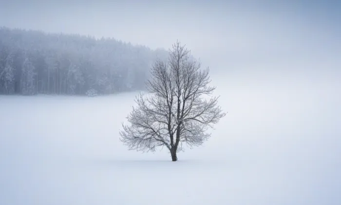Jince – winter