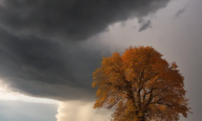Jiráskovy sady (Hradec Králové) – autumn