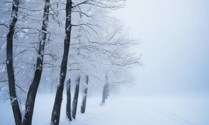 Johanitská komenda v Praze – winter