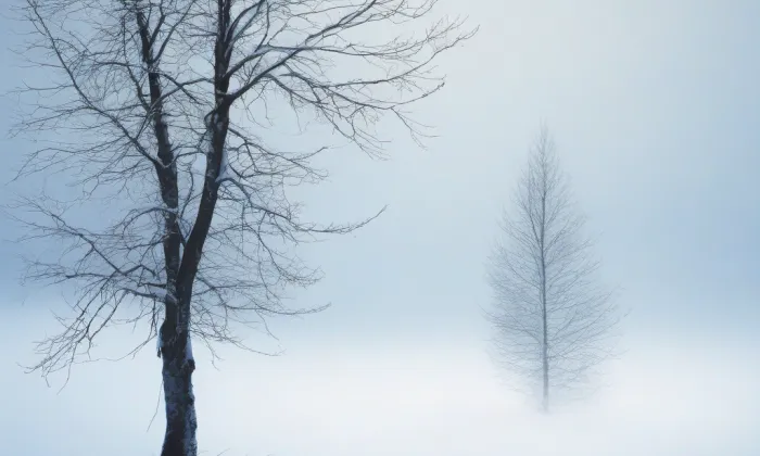 Kamenický hrad – winter