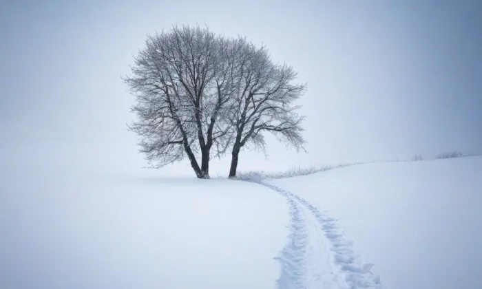 kaple (Boreč) – winter
