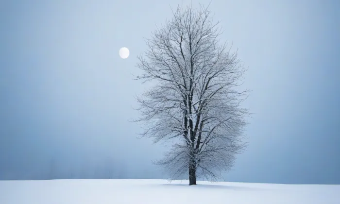 kaple (Fojtka) – winter