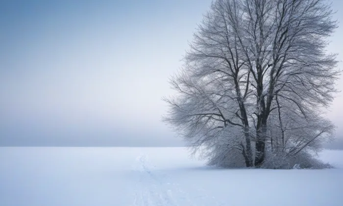 kaple Bolestné Panny Marie (Němčany) – winter