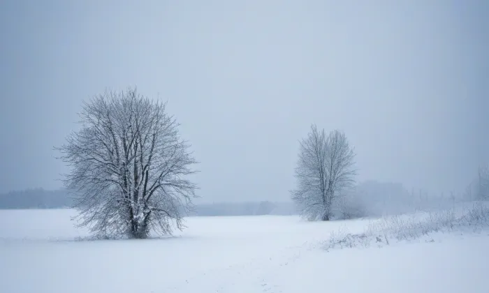 kaple na Mravenčím vrchu – winter
