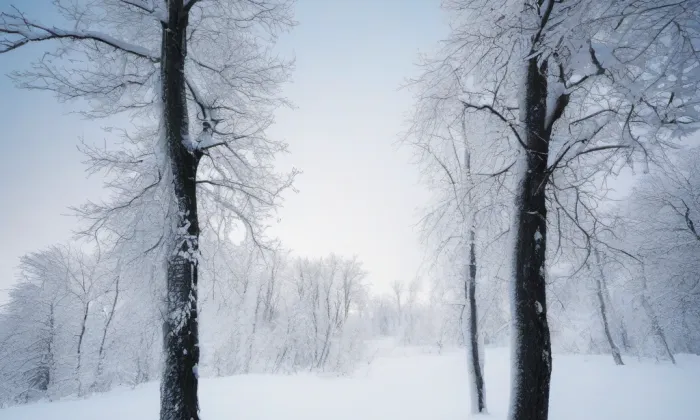 kaple Narození svatého Jana Křtitele (Kamýk) – winter
