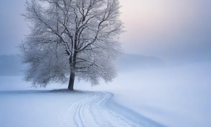 kaple Nejsvětější Trojice (Benešov nad Ploučnicí) – winter