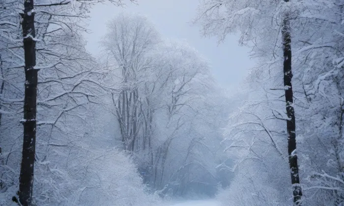 kaple Nejsvětější Trojice v Nebočadech – winter