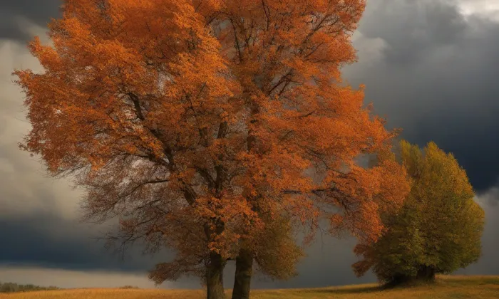 Kaple svatého Marka (Cholenice) – autumn