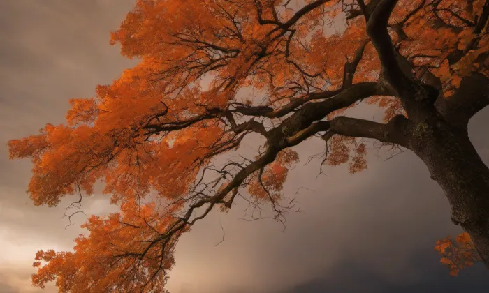 kaple svatého Mikuláše – autumn
