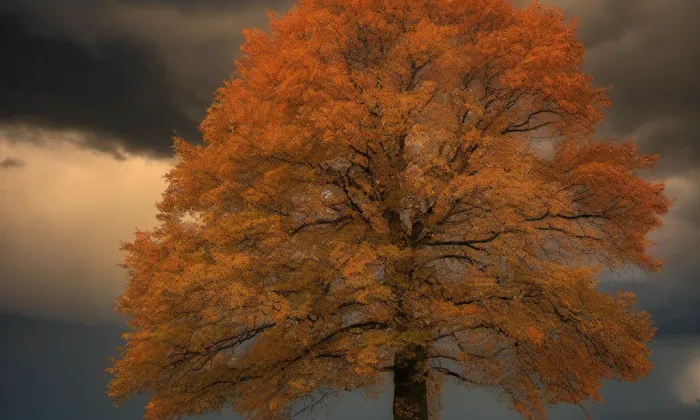 Kaple svatého Víta – autumn