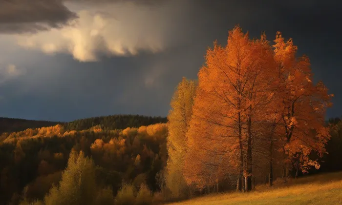 Klášter v Doubravníku – autumn