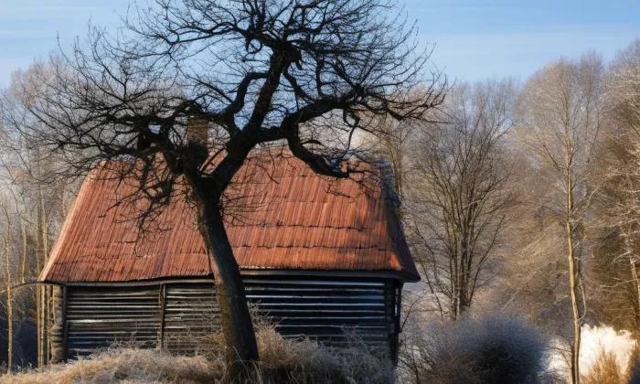 Kopicův statek – winter