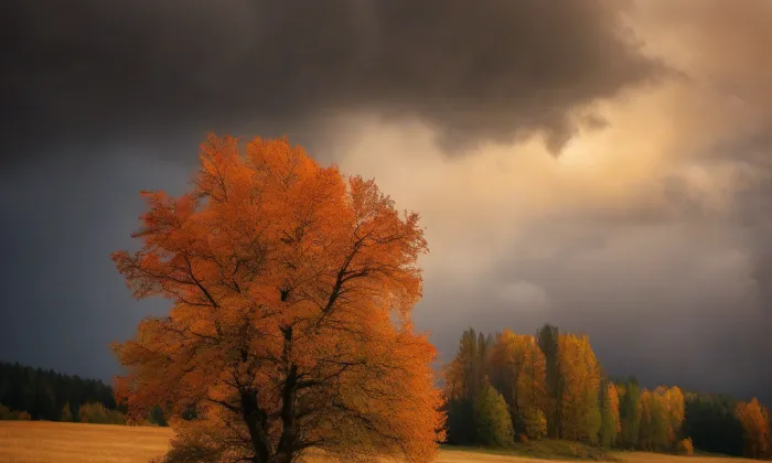 Kostel Božského srdce Páně v Liberci – autumn