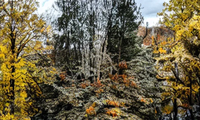 Kubištovy sady – autumn
