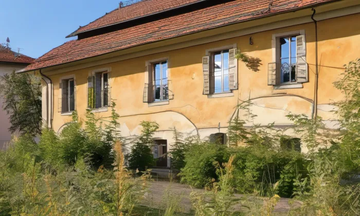 Milošice – summer