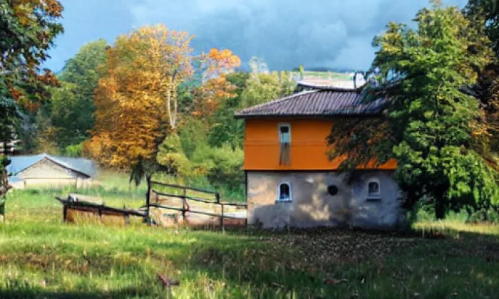 Park Adolfa Borna – autumn