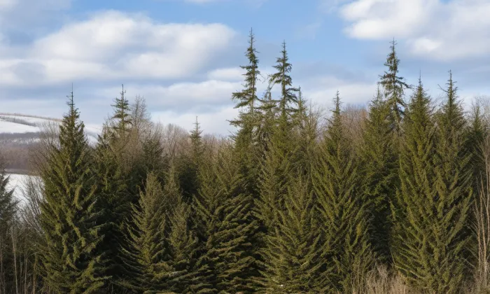 Park Budoucnost – winter