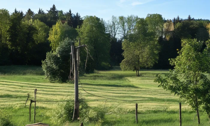 Růžová zahrada – summer