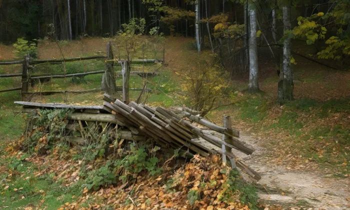 Vlčinec – autumn