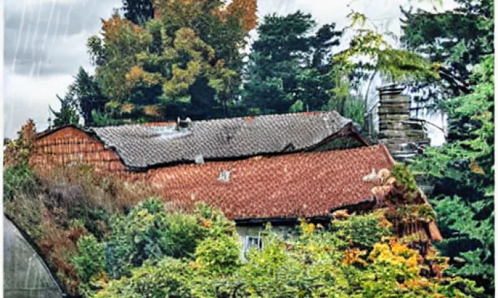zámecký park Průhonice – autumn