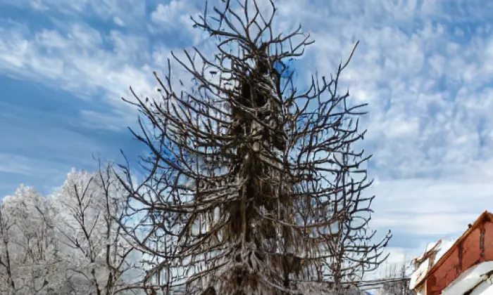 Zámek Červené Pečky – winter