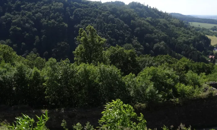 hrad Potštejn