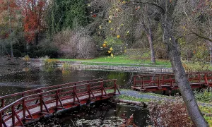 Arboretum Bílá Lhota