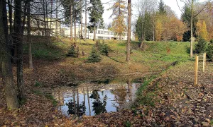 Arboretum Nové Zákupy