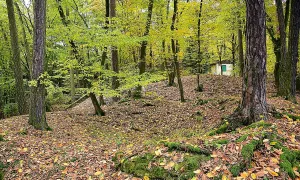 Hrad u Čtyřkol