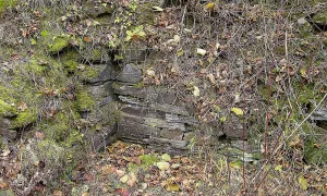 Nevděk