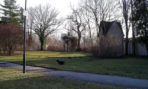 Svatojiřský park