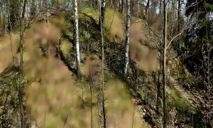 Hausberk (Křimov)