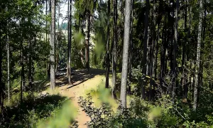 Kyjov